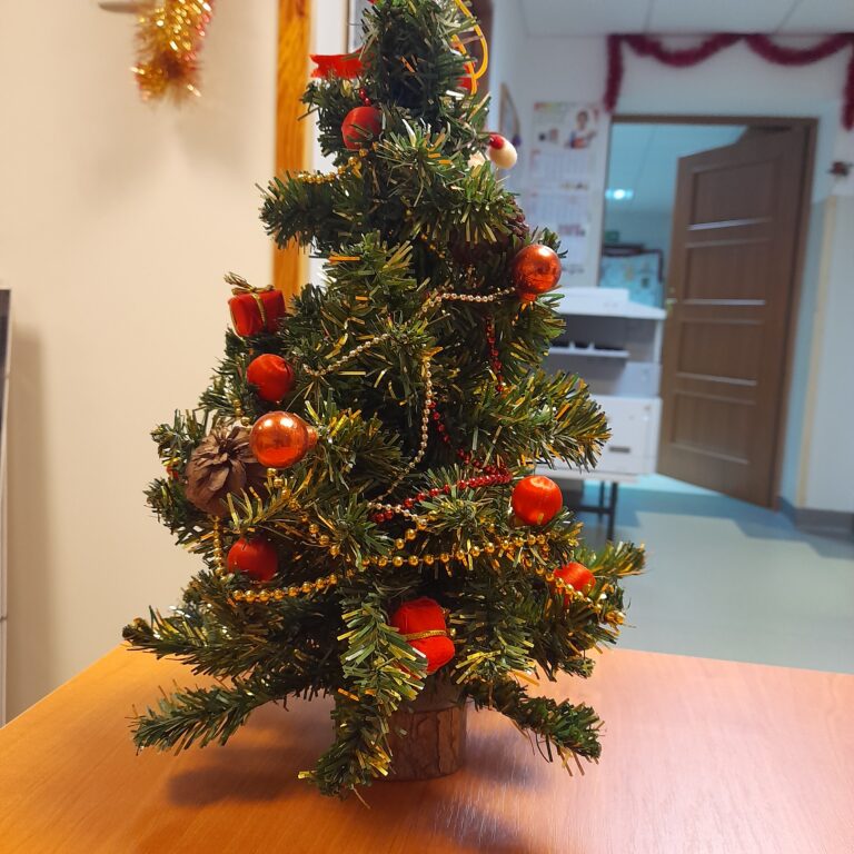 05.12.2022-Wystawa w bibliotece: W oczekiwaniu na święta Bożego Narodzenia — zdjęcie 12