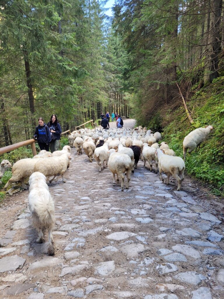 17-23.09.2023-Wycieczka klasy 3D w Tatry — zdjęcie 20