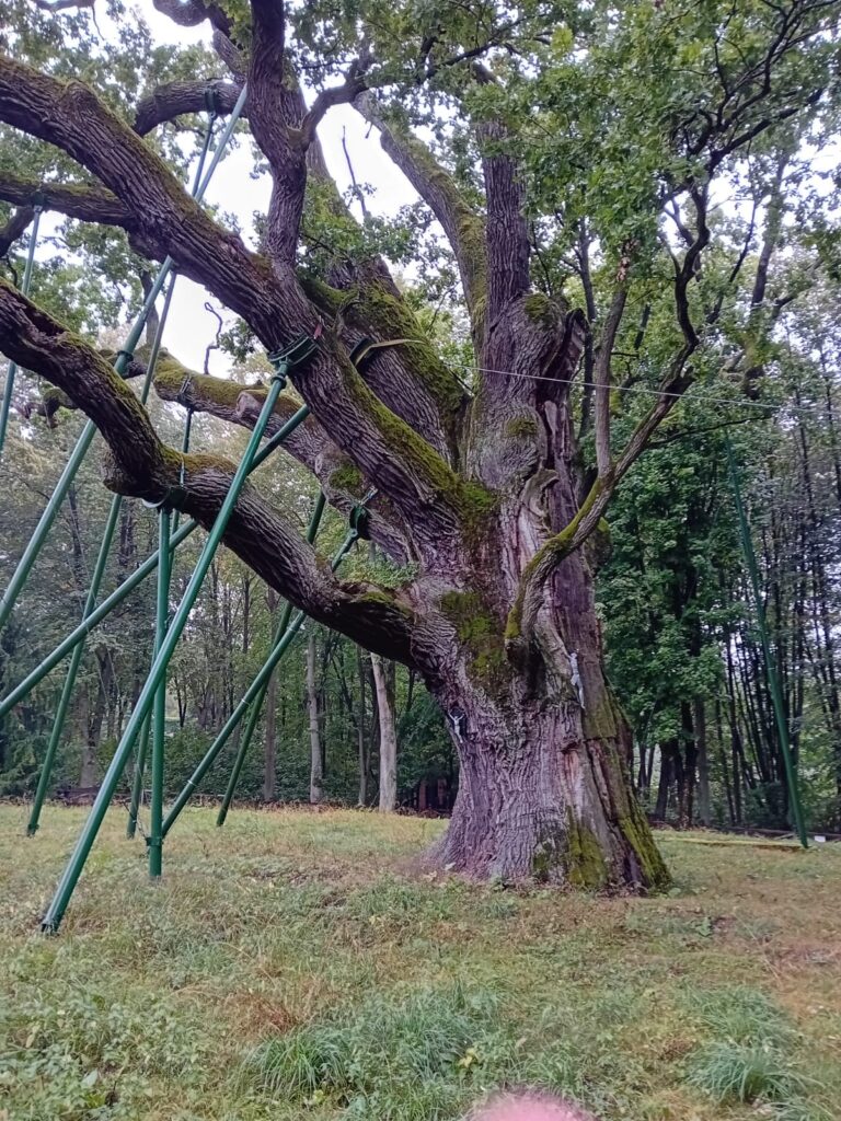 18-22.09.2023-Wycieczka klas 2D i 2E w Góry Świętokrzyskie — zdjęcie 16