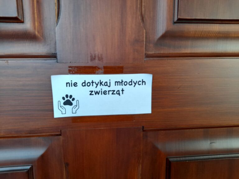 04.10.2023-Akcja Ekoklubu z okazji Światowego Dnia Zwierząt — zdjęcie 12