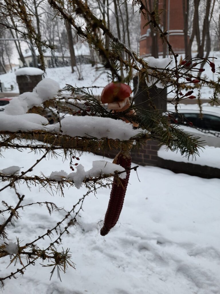 01.12.2023-Ptasie warsztaty — zdjęcie 5