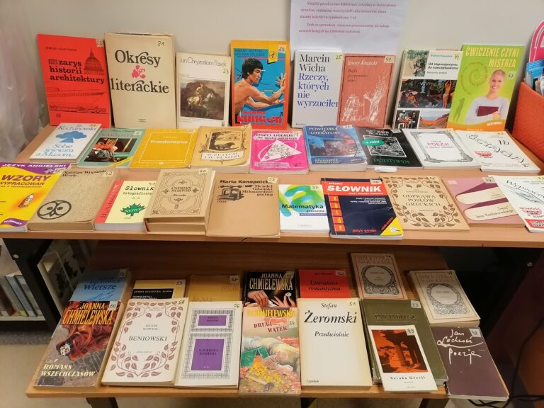 01-31.10.2016-Międzynarodowy Miesiąc Bibliotek Szkolnych — zdjęcie 23
