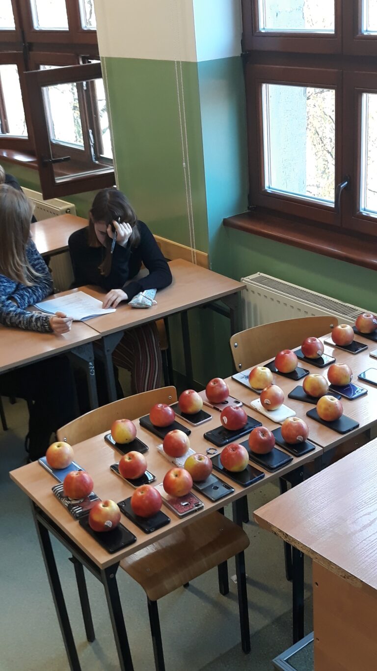 01-31.10.2019-Październik Międzynarodowym Miesiącem Bibliotek Szkolnych — zdjęcie 4
